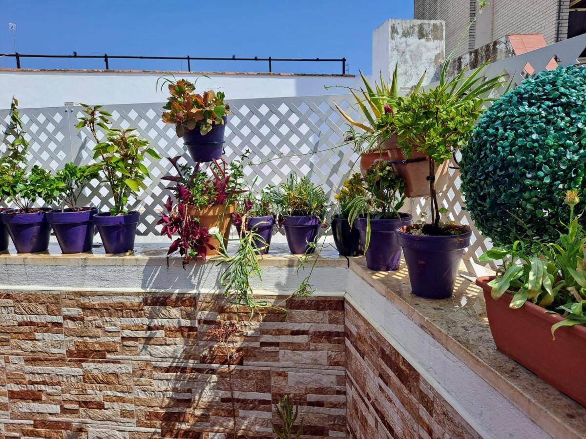 Апартаменти Atico Duplex Marques De Reyes Севілья Екстер'єр фото